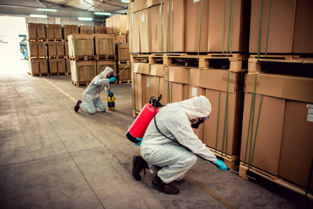 Trusted Parker, AZ Pest Control Experts