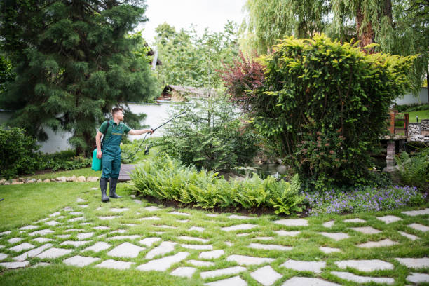 Best Pest Prevention Services  in Parker, AZ