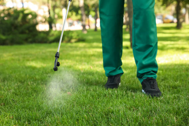 Best Exterminator Services  in Parker, AZ