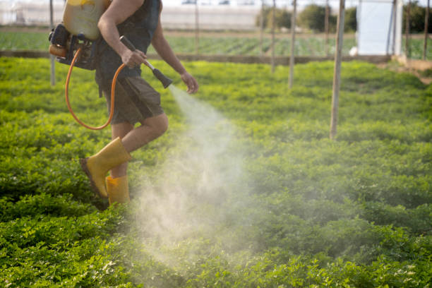 Best Mosquito Control Services  in Parker, AZ