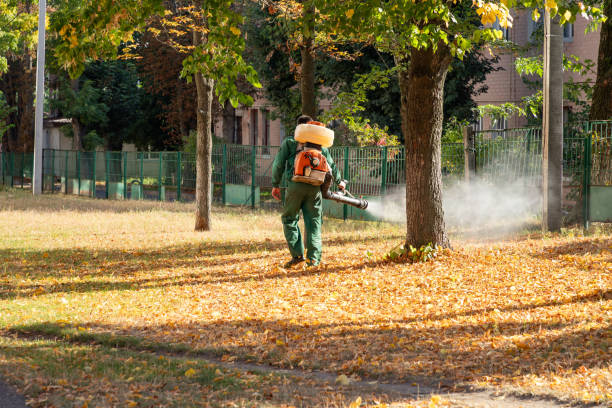 Best Best Pest Control Companies  in Parker, AZ