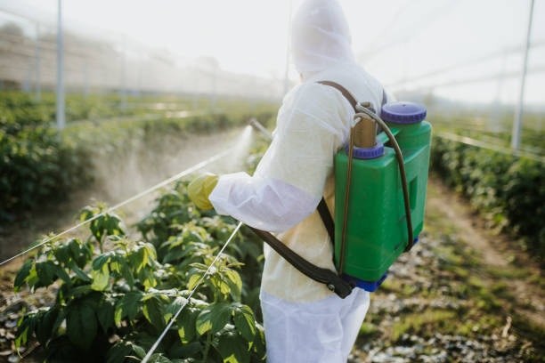 Best Rat Extermination Near Me  in Parker, AZ